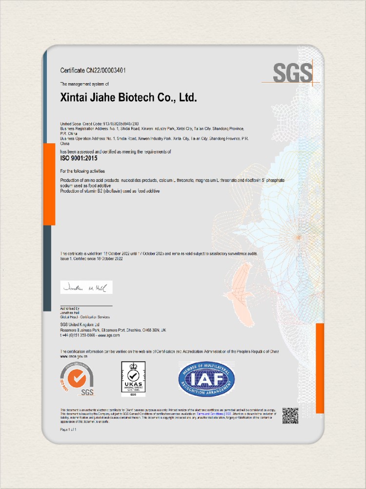 iso 9001【新泰】